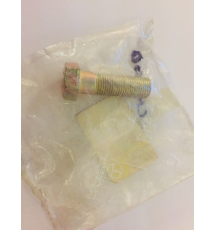 Genuine O/E Peugeot 106 GTI M11 cam pulley bolt - 0806.18 (1)