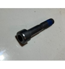 Genuine OE Peugeot 106 GTI TU5J4 Timing Belt Idler Securing Bolt